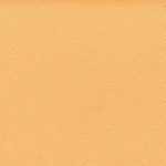 Bermuda Plain Champagne