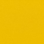 Bermuda Plain Cyber Yellow