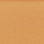 Bermuda Plain Desert