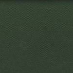 Bermuda Plain Forest Night