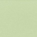Bermuda Plain Lily Green