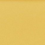 Bermuda Plain Mimosa