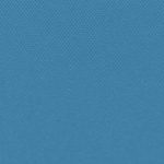 Bermuda Plain Sky Diver