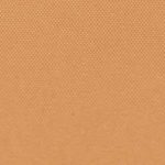 Bermuda Plain Sunlight